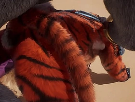 Wildlife - Gay Furrys Yiff