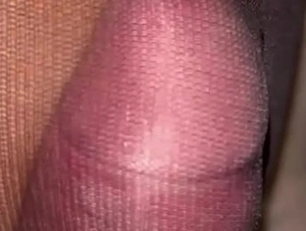 Alikat2 cock in pantyhose