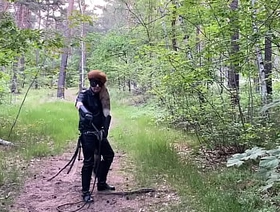 ARSCH RAUS DIE BULLWHIP WILL TANZEN