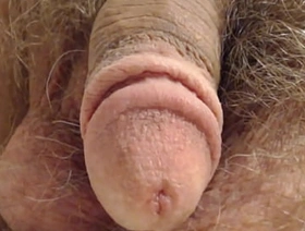 Penis Close Up