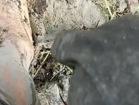 Solo Male Wading Barefoot in Lakebed of Mud